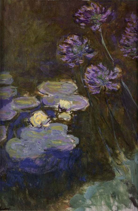 Water Lilies and Agapanthus Lilies